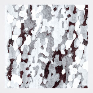 NAT-1010-GRY