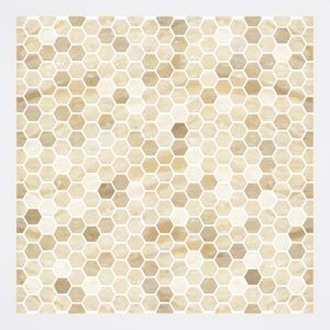 MOZ-1001-BEG