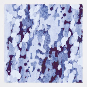 NAT-1010-BLU