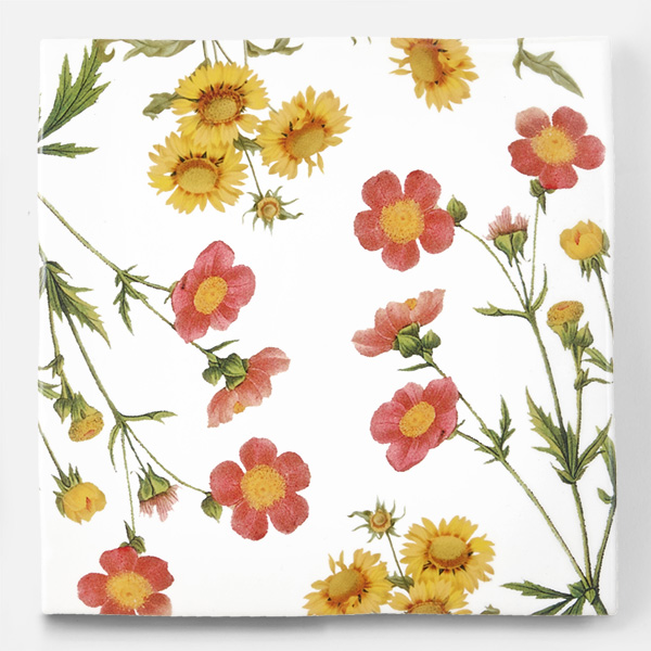 アンティークの図版の植物の花柄のイラストのイメージを施したタイルです。壁タイル、床タイル、Pタイルとしてご利用頂けます。他のイラストタイルタイルや白いタイル等と組み合わせてオーダー頂く事が可能です。