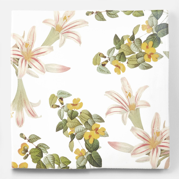 アンティークの図版の植物の花柄のイラストのイメージを施したタイルです。壁タイル、床タイル、Pタイルとしてご利用頂けます。他のイラストタイルタイルや白いタイル等と組み合わせてオーダー頂く事が可能です。