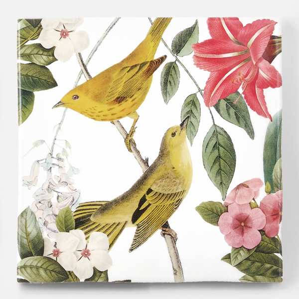 アンティークの図版の鳥と植物柄のイラストのイメージを施したタイルです。壁タイル、床タイル、Pタイルとしてご利用頂けます。他のイラストタイルタイルや白いタイル等と組み合わせてオーダー頂く事が可能です。